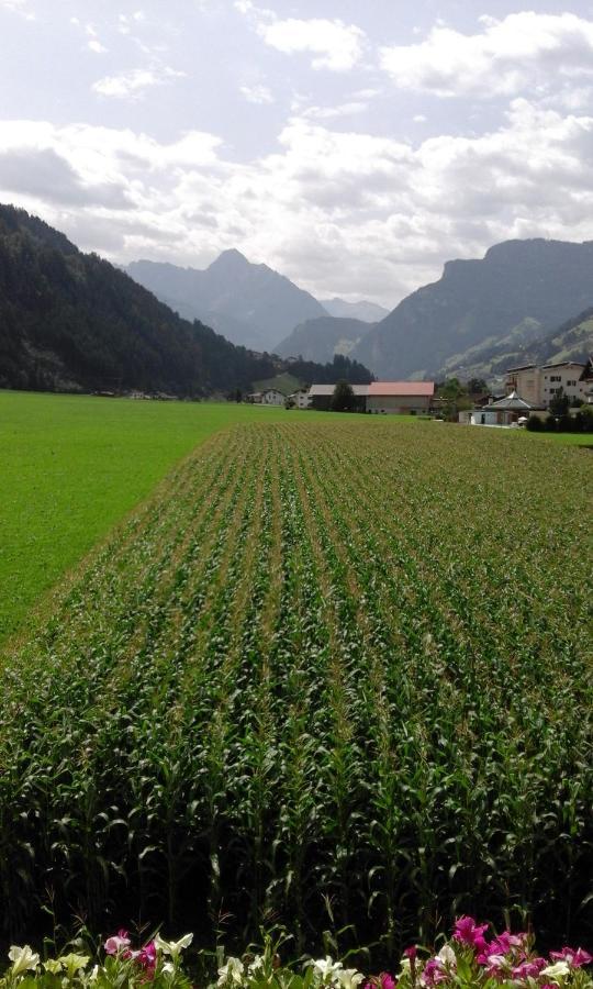 Gaestehaus Wildauer Zell am Ziller Exteriör bild