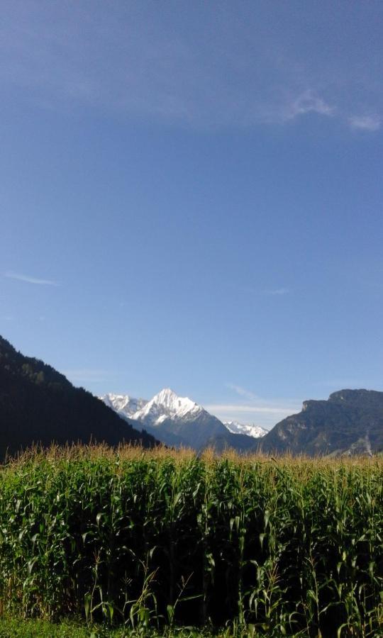Gaestehaus Wildauer Zell am Ziller Exteriör bild
